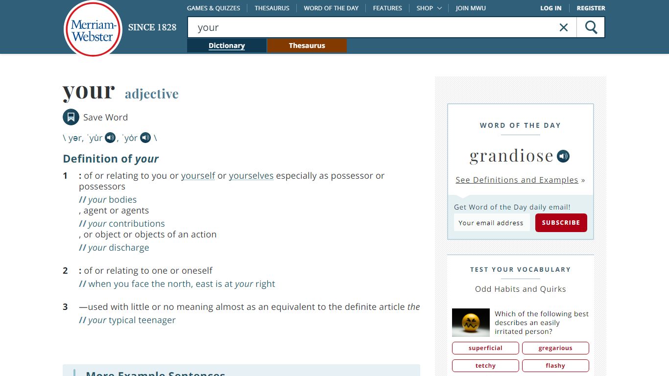 Your Definition & Meaning - Merriam-Webster